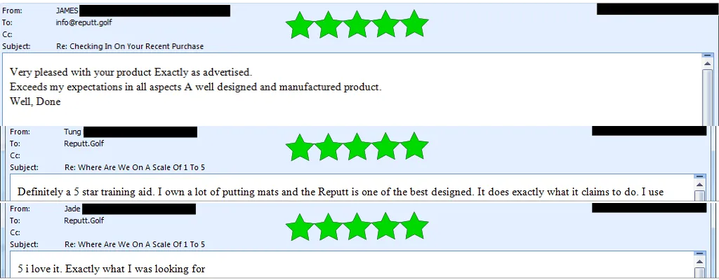 ReputtReview1