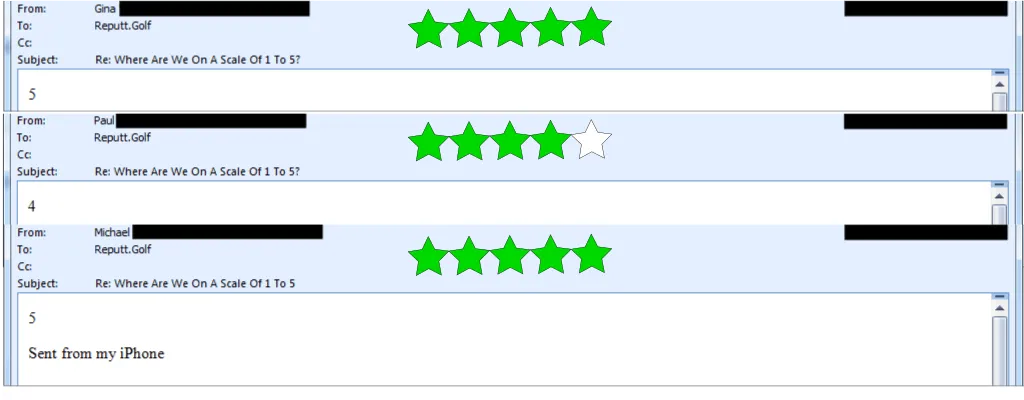 ReputtReview2